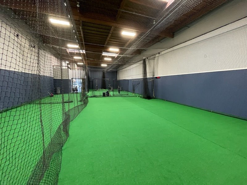 baseball facility netting and turf